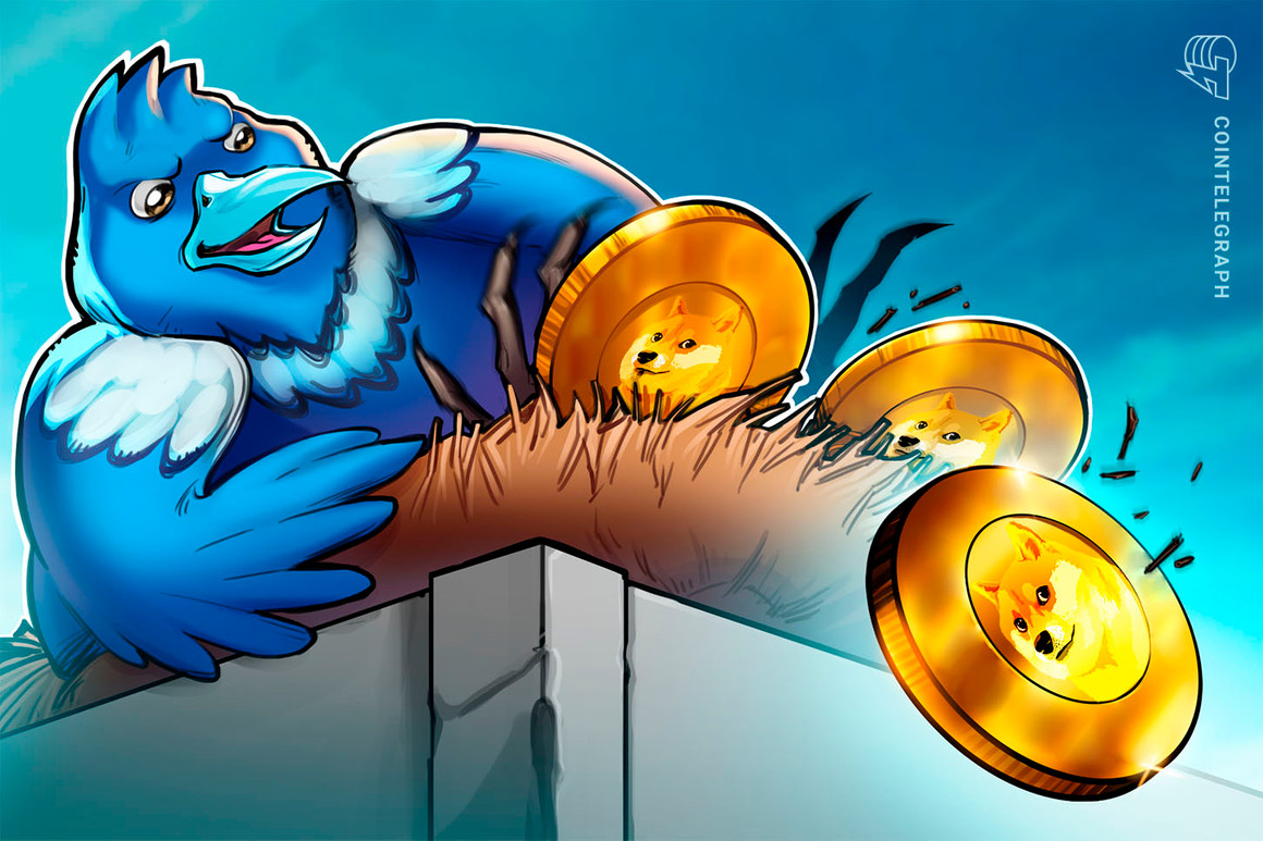 62% of Dogecoin hodlers in profit amid hopes of Twitter integration